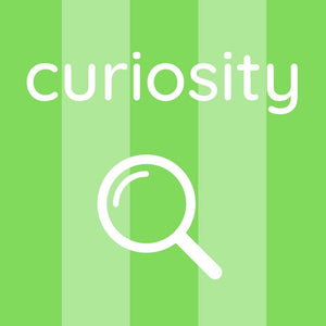 Curiosity Games and Toys - Teich Toys & Gifts