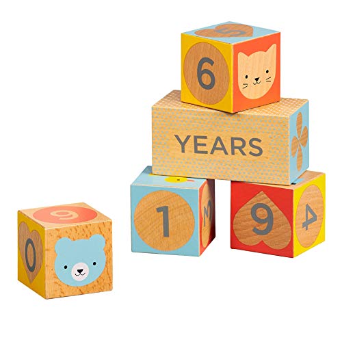 Milestone Baby Blocks - Teich Toys & Gifts