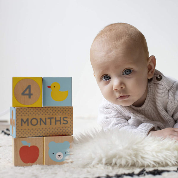 Milestone Baby Blocks - Teich Toys & Gifts