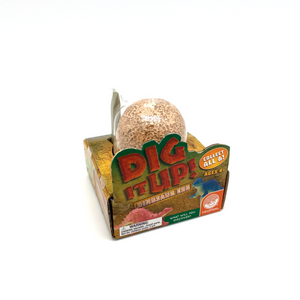 Dig it Up! Dino Egg - Teich Toys & Gifts