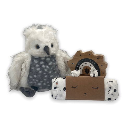 Owl + Pals Toy - Teich Toys & Gifts
