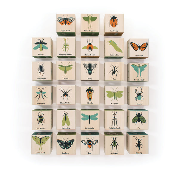 Bugs Wood Blocks
