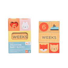 Milestone Baby Blocks - Teich Toys & Gifts