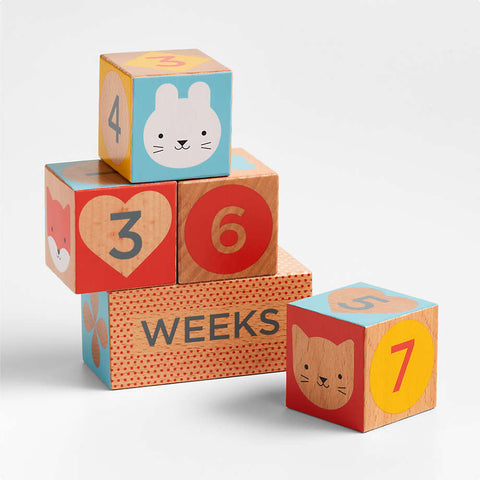 Milestone Baby Blocks - Teich Toys & Gifts